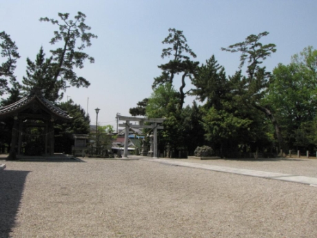 画像37